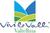 VivileVallilogoLO